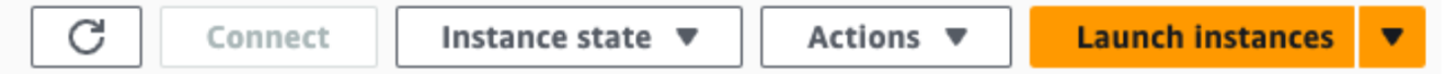 Launch Instances Button